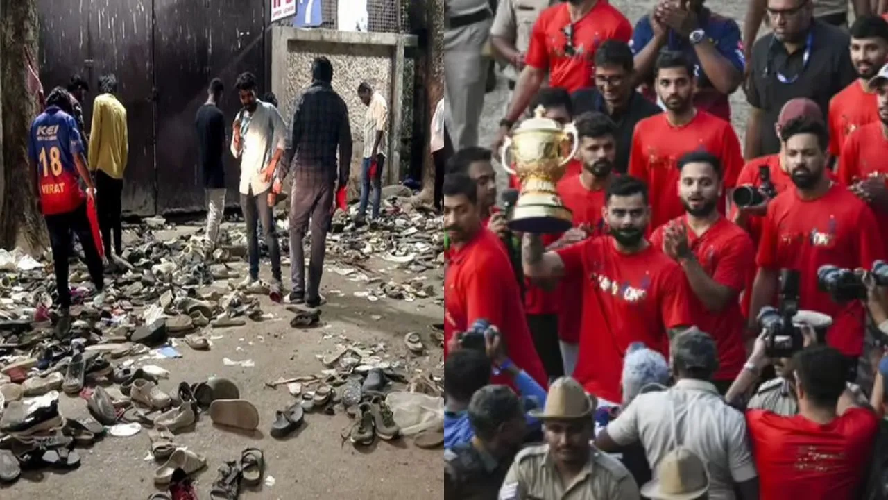 RCB and stampede.webp